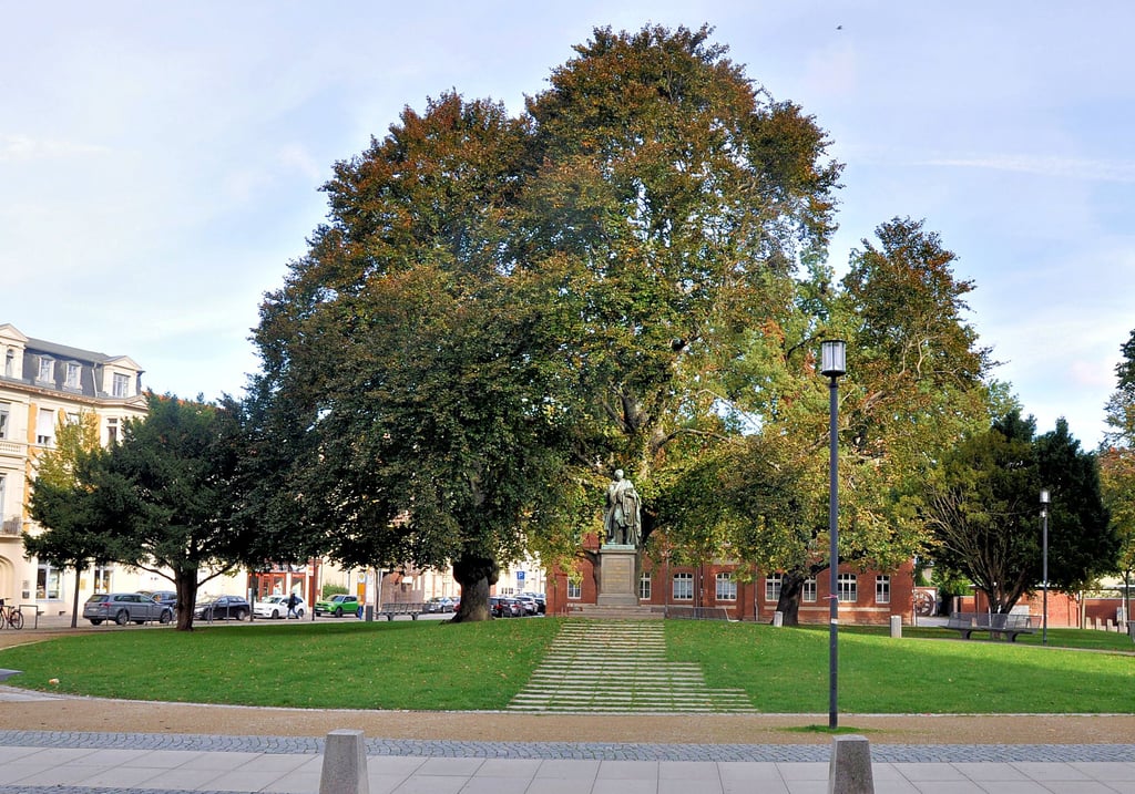 Auf dem Winckelmannplatz in Stendal können Passanten im Sommer im Schatten der Bäume Schutz vor der Sonne suchen.