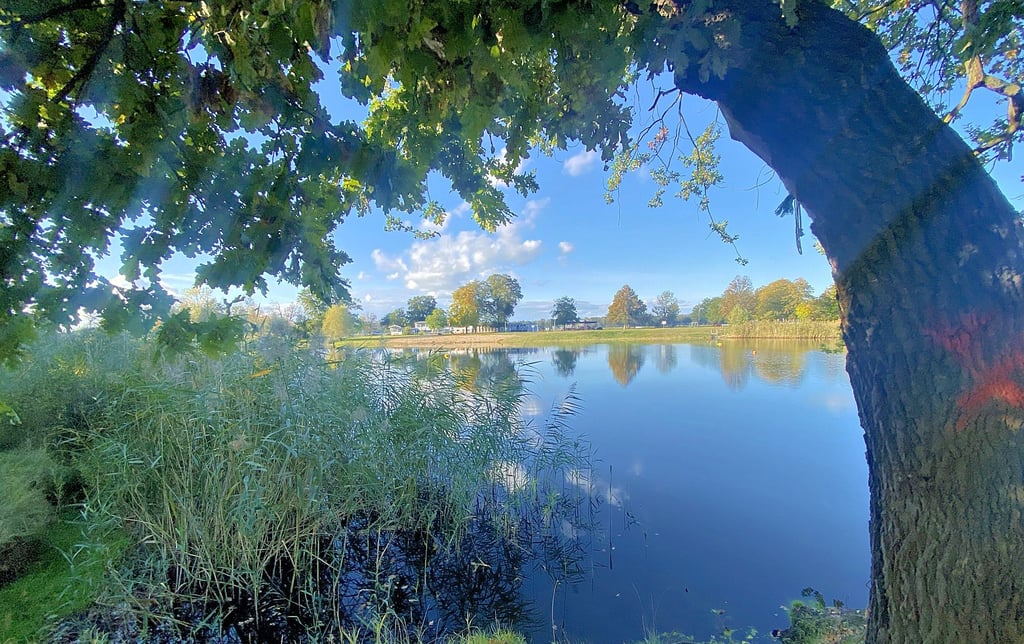 Der Kühnauer See mit dem Naturbad ist idyllisch gelegen und ein beliebter Naherholungsort.