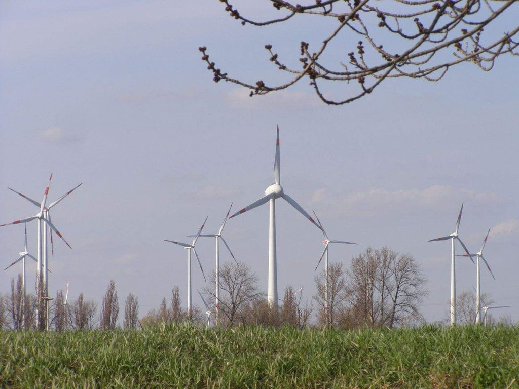 In weiten Gebieten um Magdeburg wird mit Windkraft Strom erzeugt.