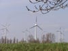 In weiten Gebieten um Magdeburg wird mit Windkraft Strom erzeugt.