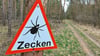 Ein Warnschild vor Zecken hängt an einem Baum in einem Wald. Durch den milden Winter sind Zecken bereits jetzt auch in Thüringens Wäldern aktiv.