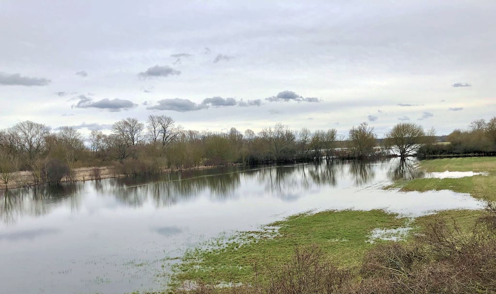 Dieses "Seenland" bei Kollenbey ist normalerweise Weidefläche für Kühe. Besonders an der Saale können viele Felder das Wasser momentan nicht mehr aufnehmen.