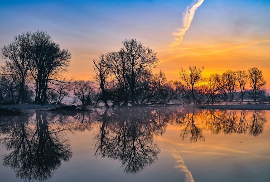 Sonnenaufgang im Überschwemmungsgebiet vom deutsch-polnischen Grenzfluss Oder, der derzeit Hochwasser führt und weite Teile der angrenzenden Flächen überflutet hat.