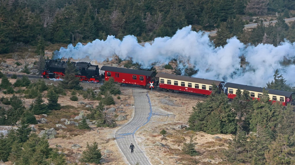 Ein Zug der Harzer Schmalspurbahnen kommt auf dem Brocken an.