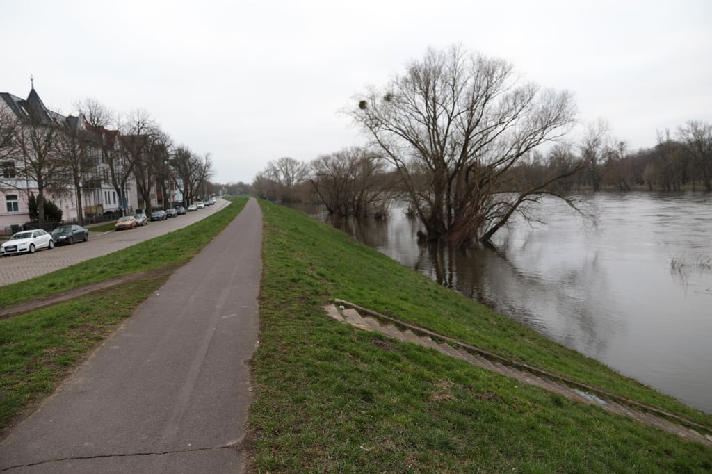 Blick auf den Elbdeich in Magdeburg-Cracau.