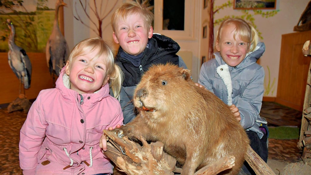 Wie dieser Biber im Info-Haus in Kämkerhorst zeigen auch Liesbeth (v.l.), Pablo und Emilia ihre Zähne.