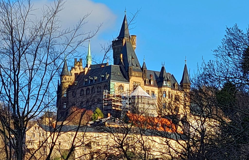 Das Gerüst an Wernigerodes Märchenschloss ist auch aus der Ferne zu sehen. Das Wahrzeichen der Harzstadt wird barrierfrei umgebaut.