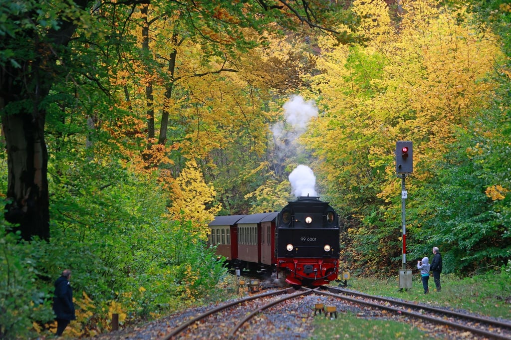 Ein Zug der Harzer Schmalspurbahn steht im Bahnhof Steinerne Renne in Wernigerode.