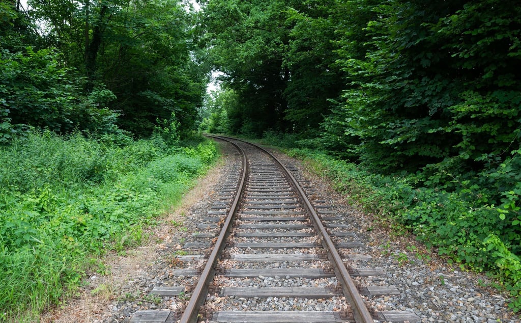 Schienen verlaufen auf der alten Bahnstrecke Rinteln - Stadthagen am alten Bahnhof Nienstädt im Landkreis Schaumburg.