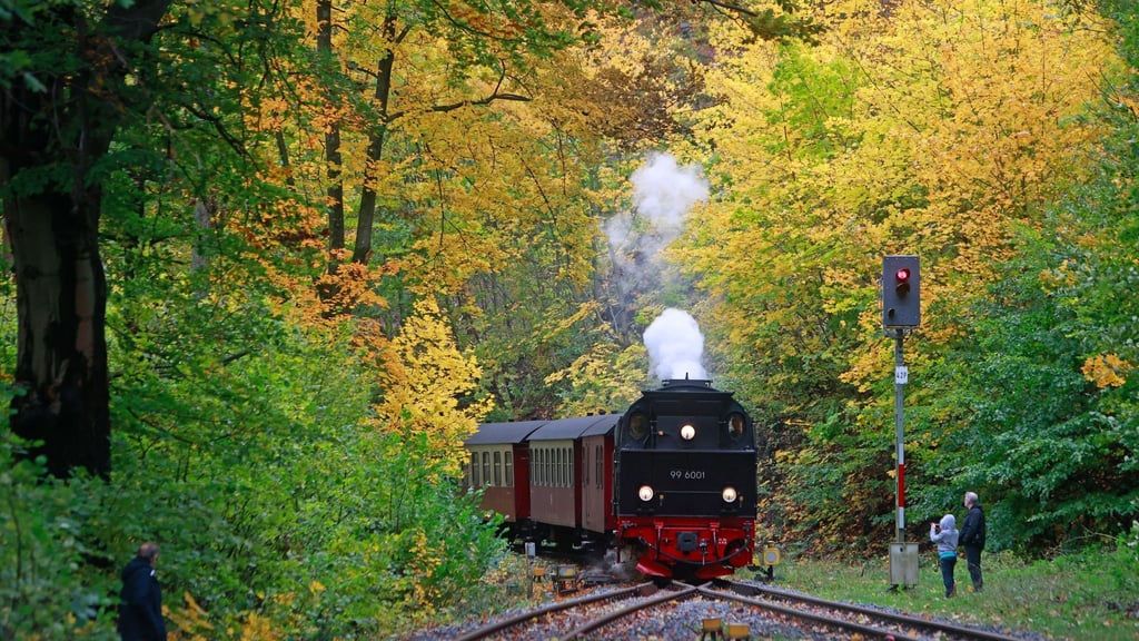 Ein Zug der Harzer Schmalspurbahn steht im Bahnhof Steinerne Renne in Wernigerode.