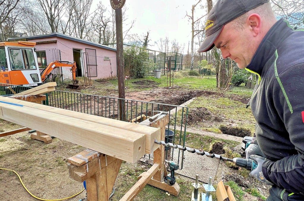 Vorarbeiter Dirk Baumann von der Zimmerei Meißner bohrt Löcher in die Stützbalken, aus denen neben dem Flamingohaus (hinten in Pink) die Einhausung für einen Brunnen gebaut wird.