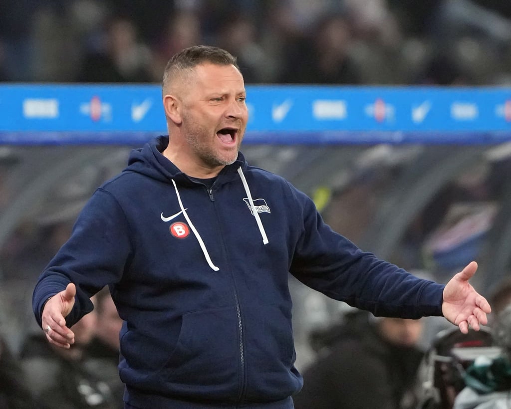 Herthas Trainer Pal Dardai reagiert an der Seitenlinie.