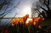 Kaum, dass die ersten Sonnenstrahlen die Krokusse erwecken, sorgt der nahende Frühling auch beim Menschen für eine wundersame Verwandlung.