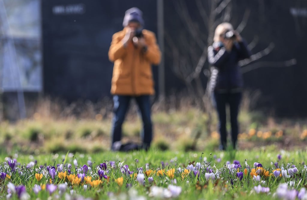 Der Frühling hält Einzug in Deutschland.