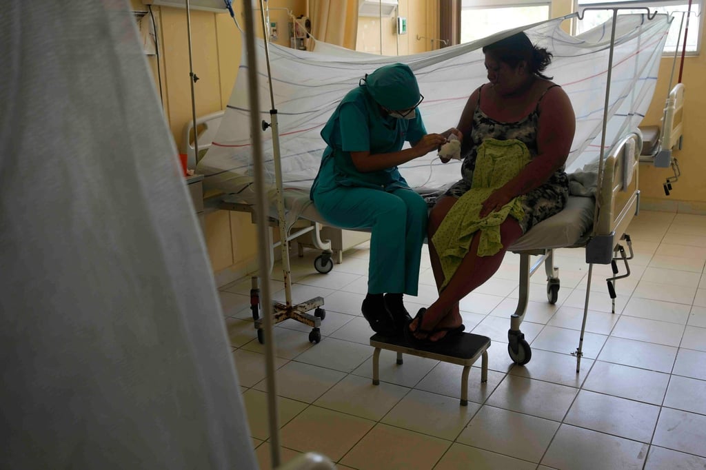 Nicht nur in Brasilien grassiert das Dengue-Fieber: Angesichts der massiven Ausbreitungen der Krankheit hat die peruanische Regierung für den Großteil des südamerikanischen Landes den Notstand erklärt.