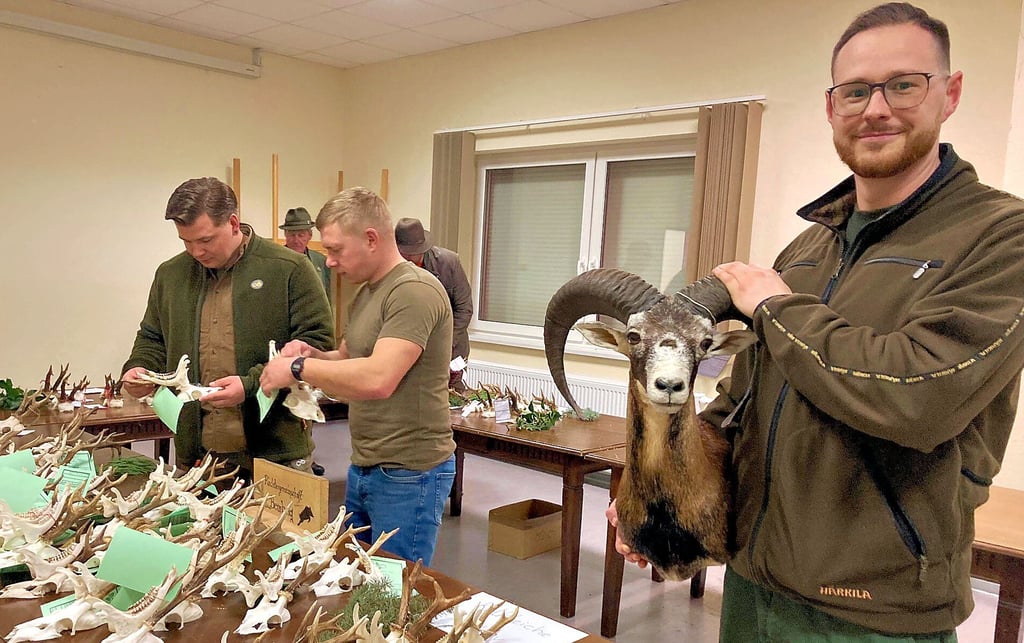 Franz Fiedler präsentiert bei der Versammlung der Jägerschaft Bernburg in Peißen einen zweijährigen Mufflon-Widder.