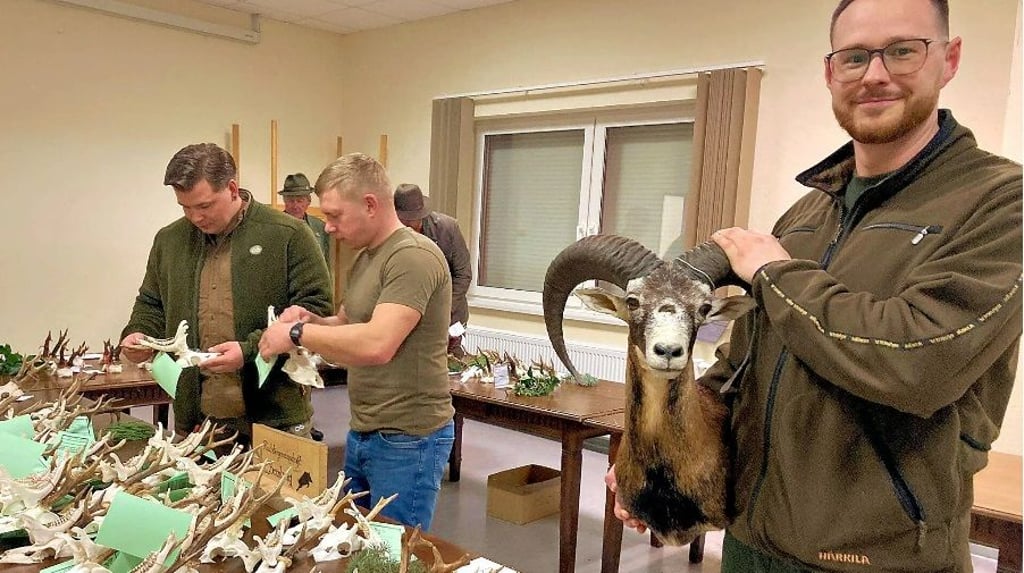 Franz Fiedler präsentiert bei der Versammlung der Jägerschaft Bernburg in Peißen einen zweijährigen Mufflon-Widder.