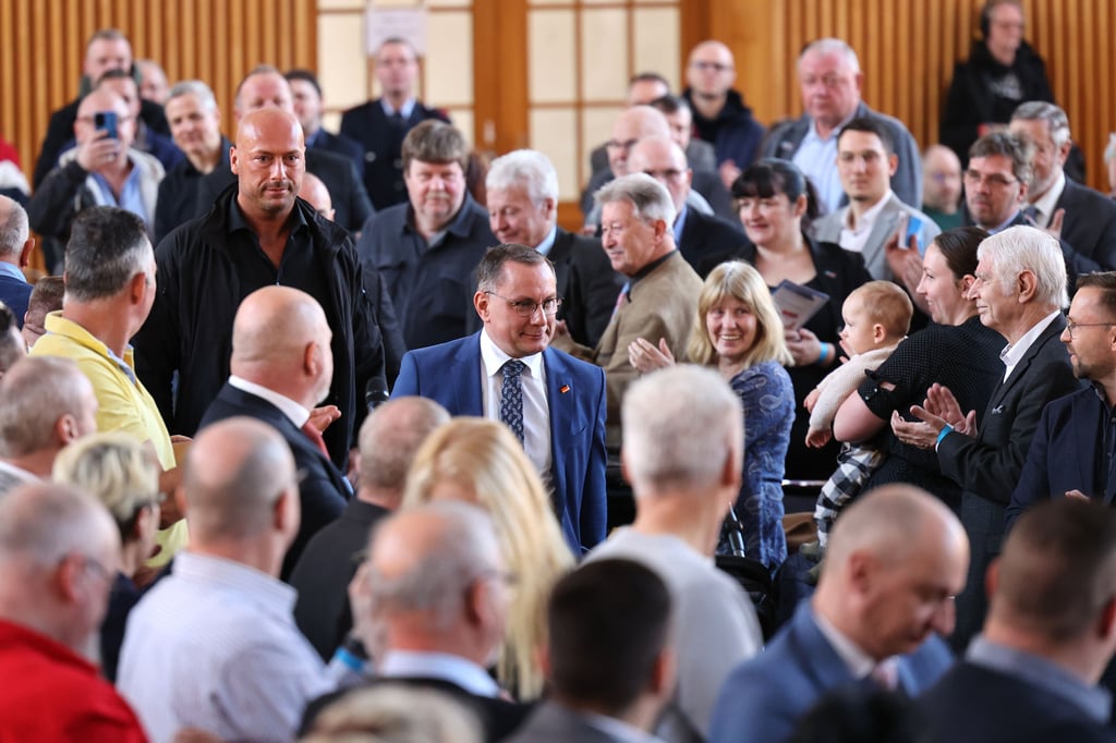 AfDParteitag in Magdeburg Russland, Verfassungsschtz und Ende der