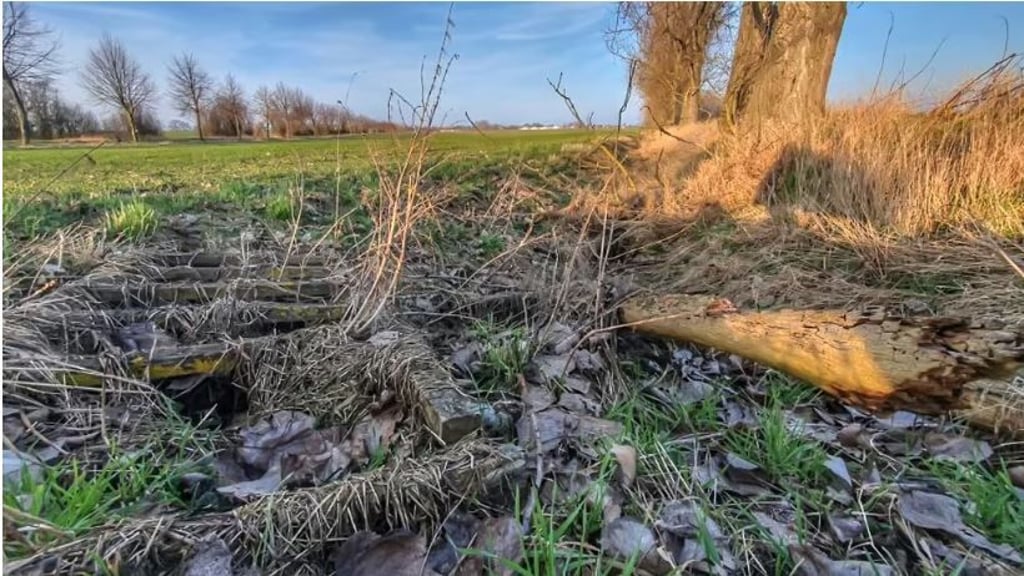 Der Graben entlang der Pappeln zwischen der B180 und der Motocross-Strecke müsste gereinigt werden, finden die Winninger.