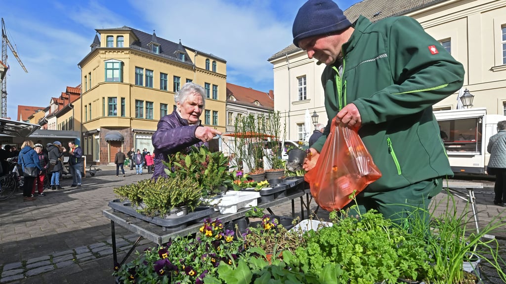 Gärtner Jens Hoffmann hat beim erster Grünen Markt der Saison in Aschersleben gut verkaufen können und ist zufrieden.