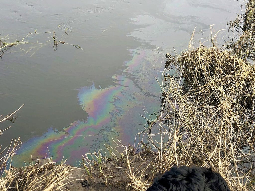 In der Bode in Staßfurt gab es einen kleinen Ölteppich.