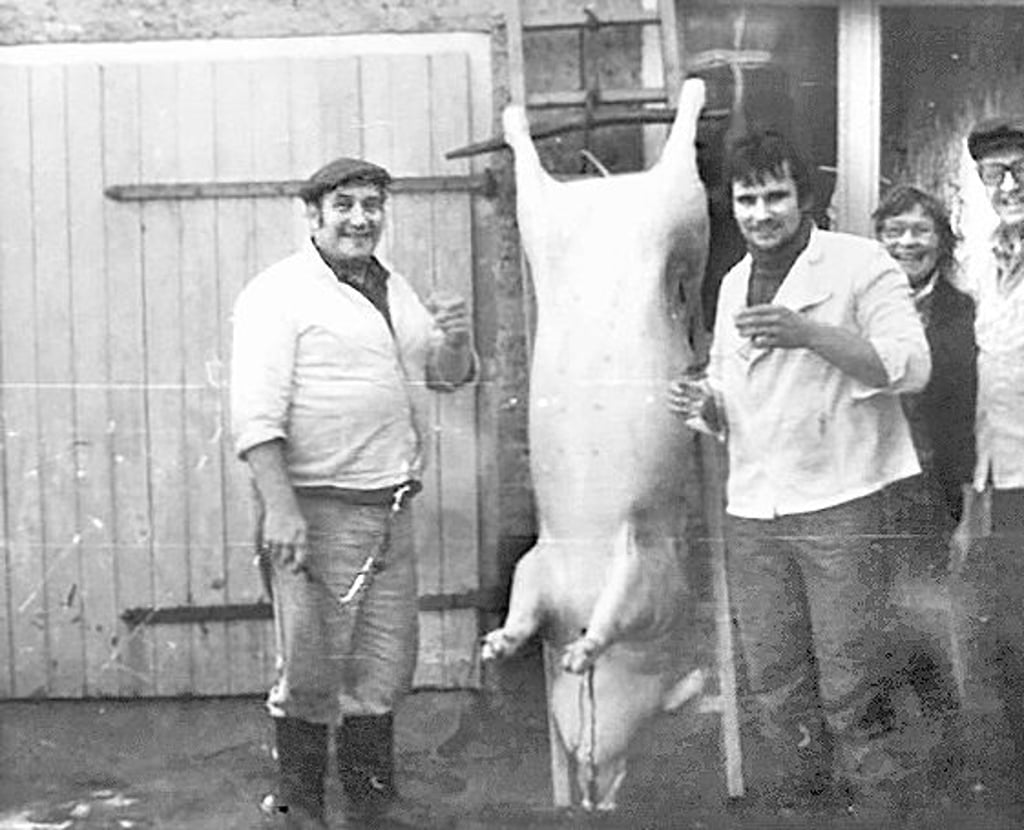 Früher hing das Schwein auch bei Familie Ulrich in Welsleben noch am Haken.