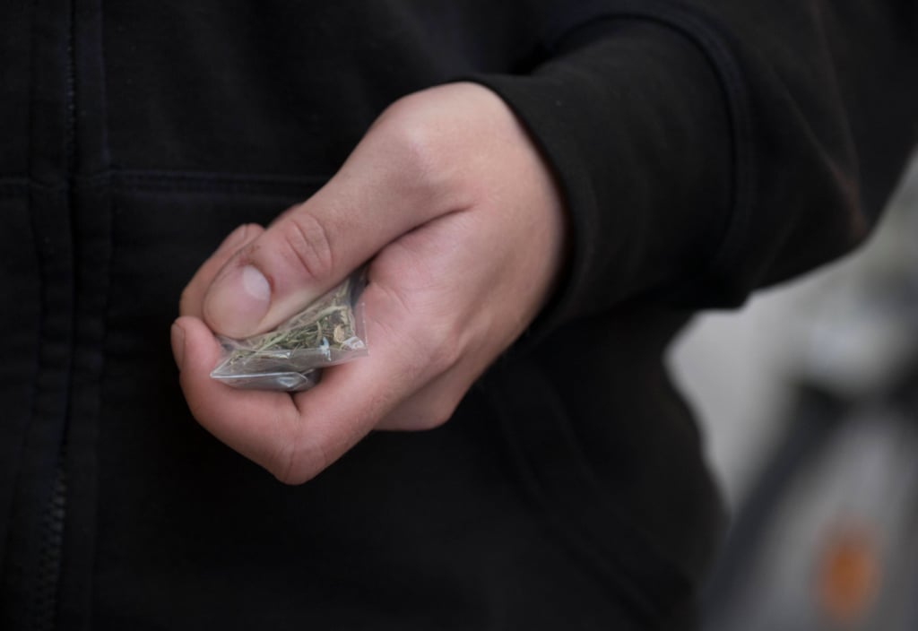Im ganz großen Stil soll der 39-Jährige mit Cannabis gehandelt haben. Jetzt ist vor dem Landgericht Magdeburg angeklagt.