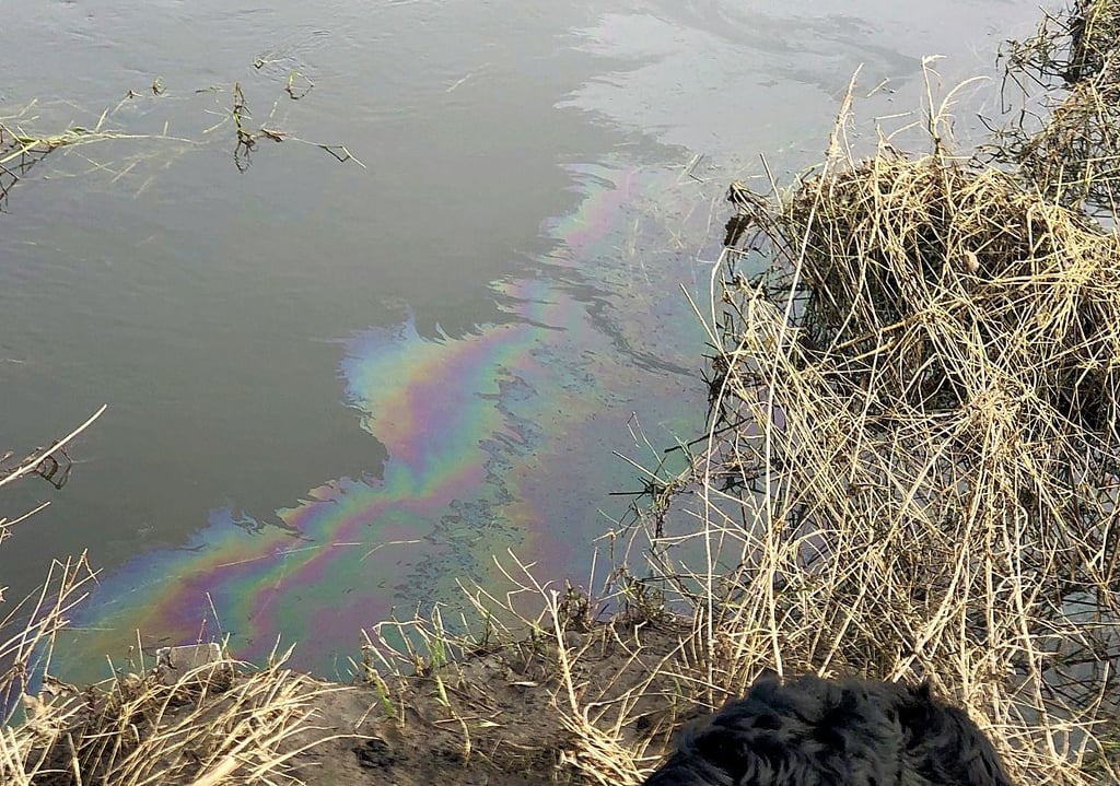 In der Bode in Staßfurt gab es einen kleinen Ölteppich.