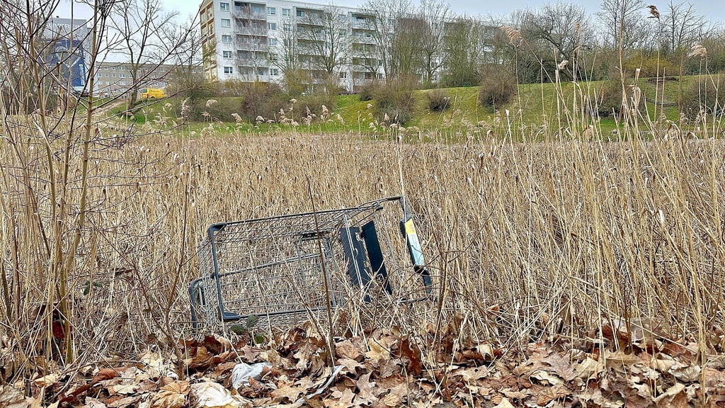 Umweltfrevel in HalleNeustadt Kleiner Teich an der Magistrale als