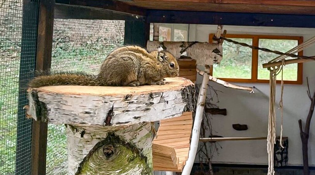 Einer der neuen Bewohner des Weißenfelser Heimatnaturgartens