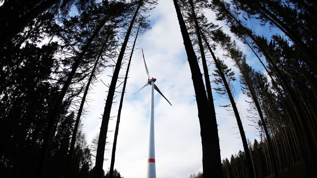 Nordrhein-Westfalen, Hürtgenwald: Ein Windrad steht im Wald Peterberg bei Vossenack. Der Bau Windrädern in Wäldern ist in NRW umstritten. (zu dpa «Zwischen Naturschutz und Energiewende: Streit um Windräder im Wald»)