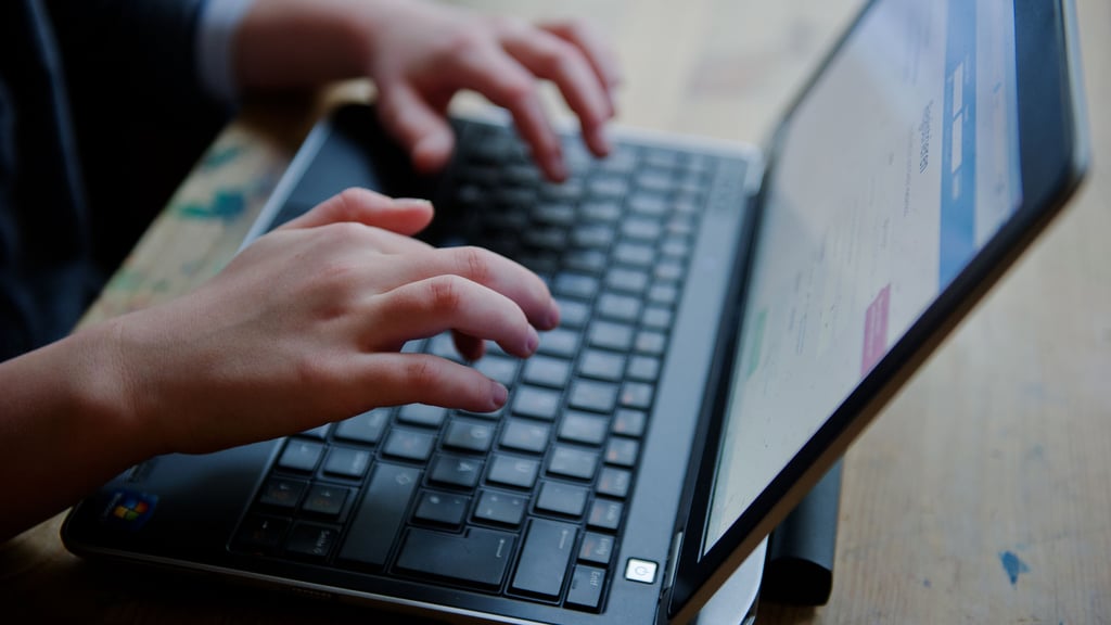 Zu viel von sich erzählt hat offenbar ein Drogendealer in einem Internet-Chat. Das Amtsgericht Schönebeck hat jedenfalls genau deshalb einen 30-jährigen Mann aus Calbe verurteilt.