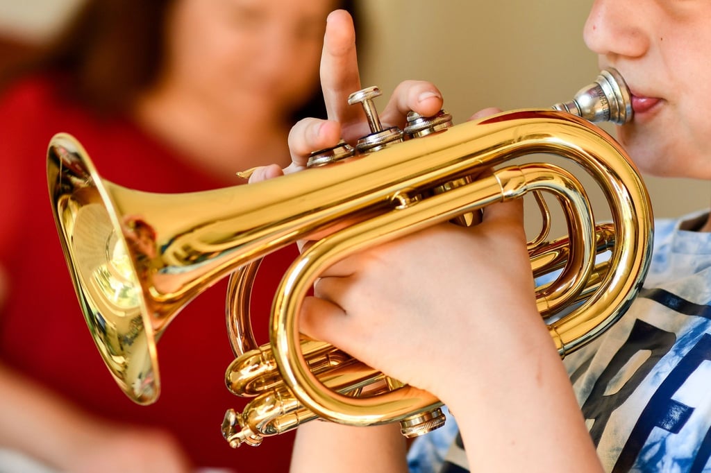 Trainiert die Atemmuskulatur: Verschiedene Studien zeigen, dass Kinder mit Asthma ihre Lungenfunktion durch das regelmäßige Spielen von Blasinstrumenten verbessern konnten. (zu dpa: „Wie Klarinette und Trompete bei Lungenerkrankungen helfen“)