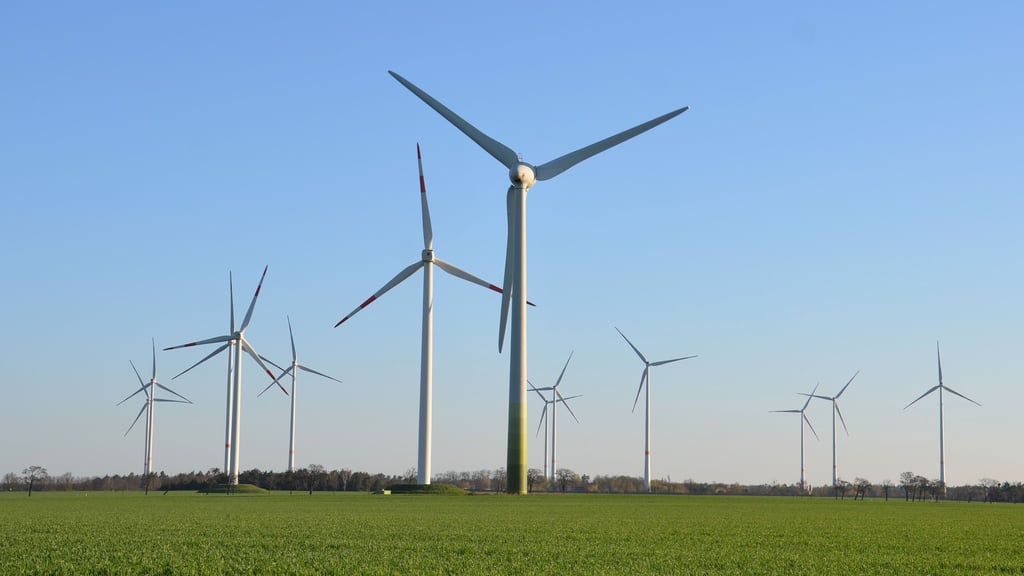 Nordöstlich von Zerbst drehen sich bereits einige Windräder, weitere sollen hinzukommen.