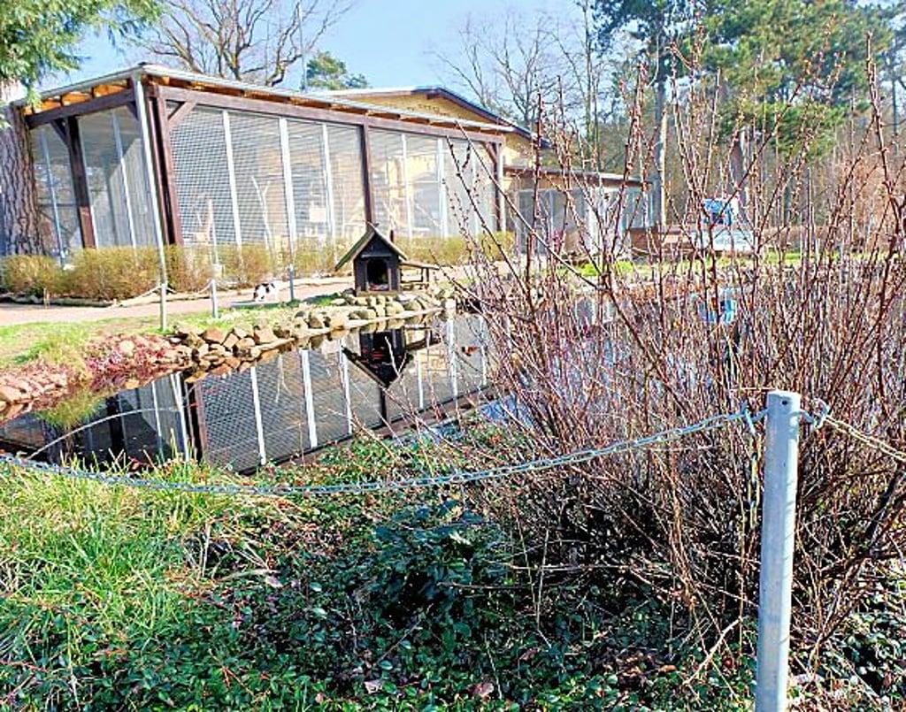 Das Tierheim an der Belziger Chaussee ist hübsch angelegt.