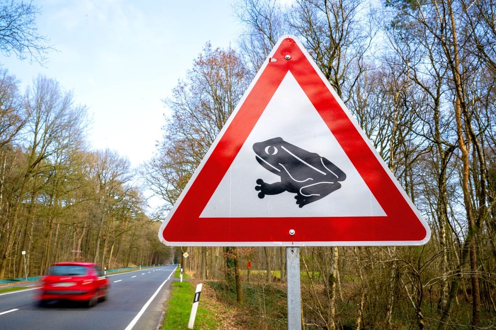 Ein Verkehrsschild macht auf die Krötenwanderung aufmerksam.