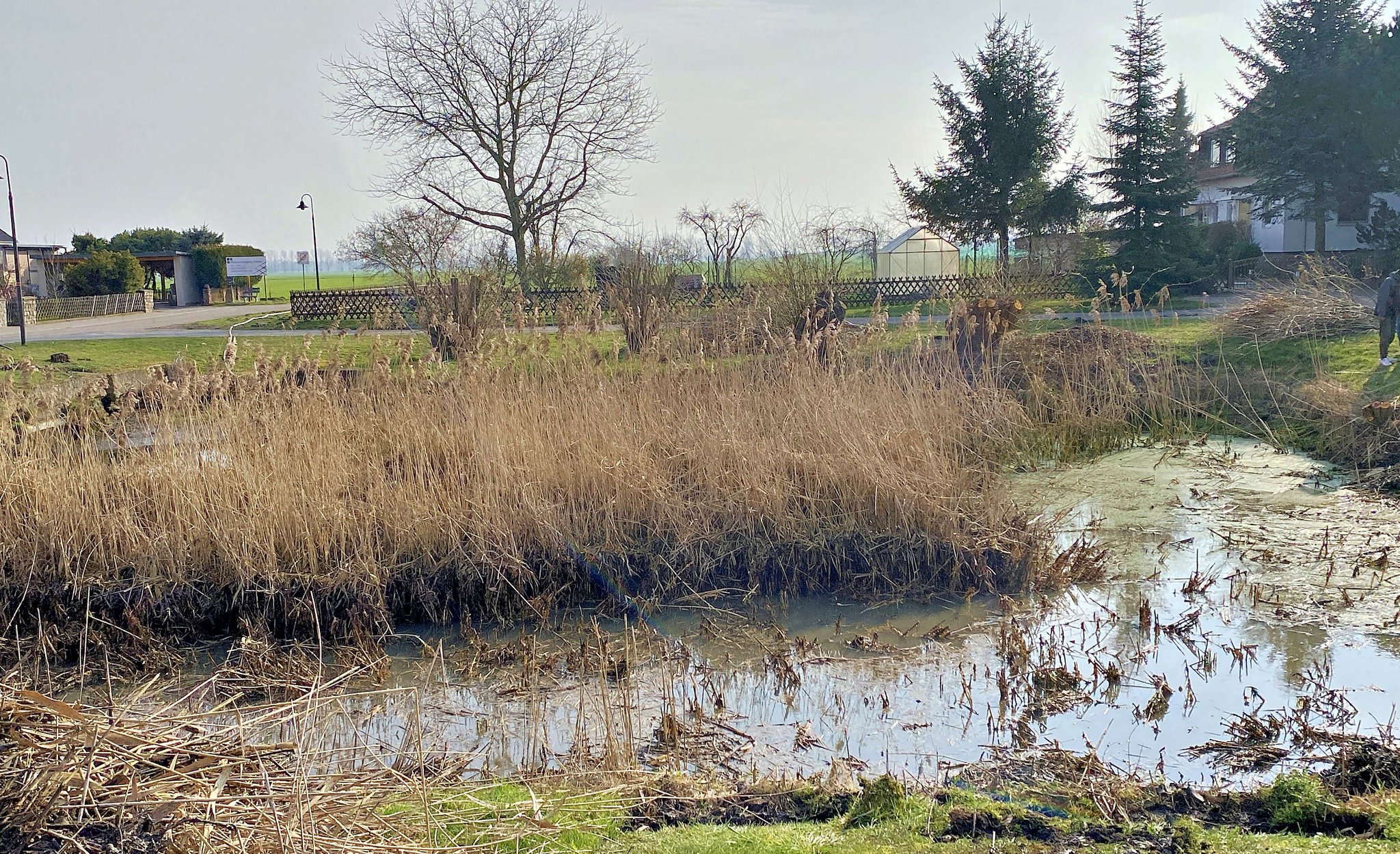 Entschlammung Schlammlöcher adé Welche Teiche im Huy saniert werden