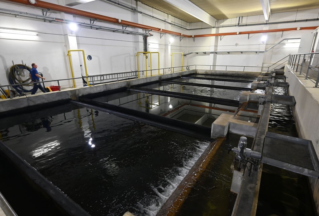 Ein Mitarbeiter geht im Wasserwerk an den Becken der Wasseraufbereitungsanlage vorbei.