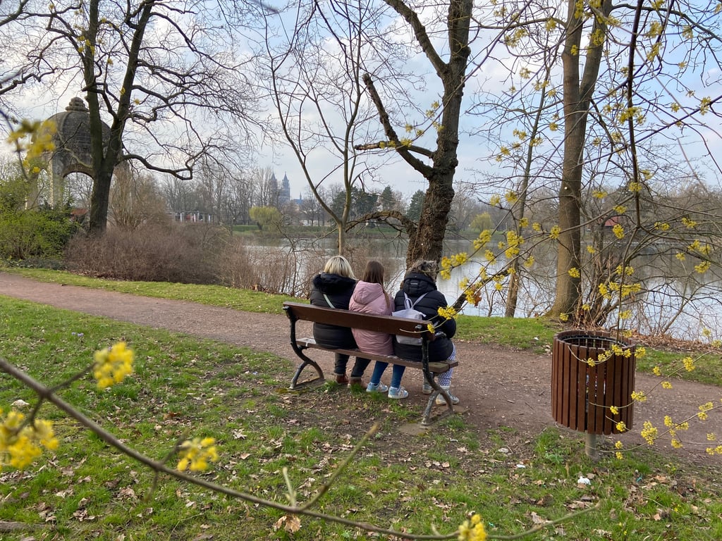 Wenn die Tage länger werden und die Temperaturen steigen, beginnt für die meisten Bäume und Sträucher auch die Blütezeit. Doch während sich die einen an der farbenfrohen Natur erfreuen, leiden viele Allergiker verstärkt an dem alljährlichen Pollenflug. Besonders Spaziergänger im Stadtpark sollten in den kommenden Wochen mit einer höheren Auslastung rechnen.