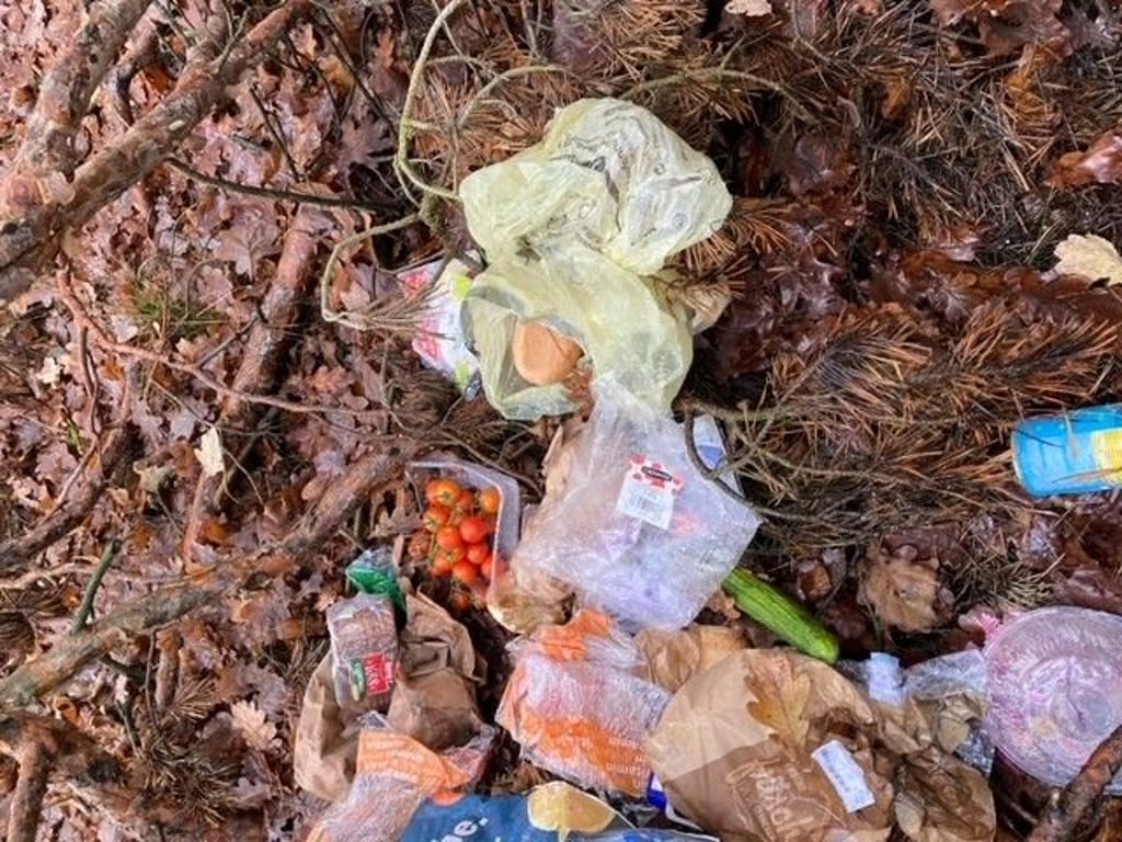 Aufräumarbeiten im Wald könnten eine gemeinnützige Tätigkeit sein.