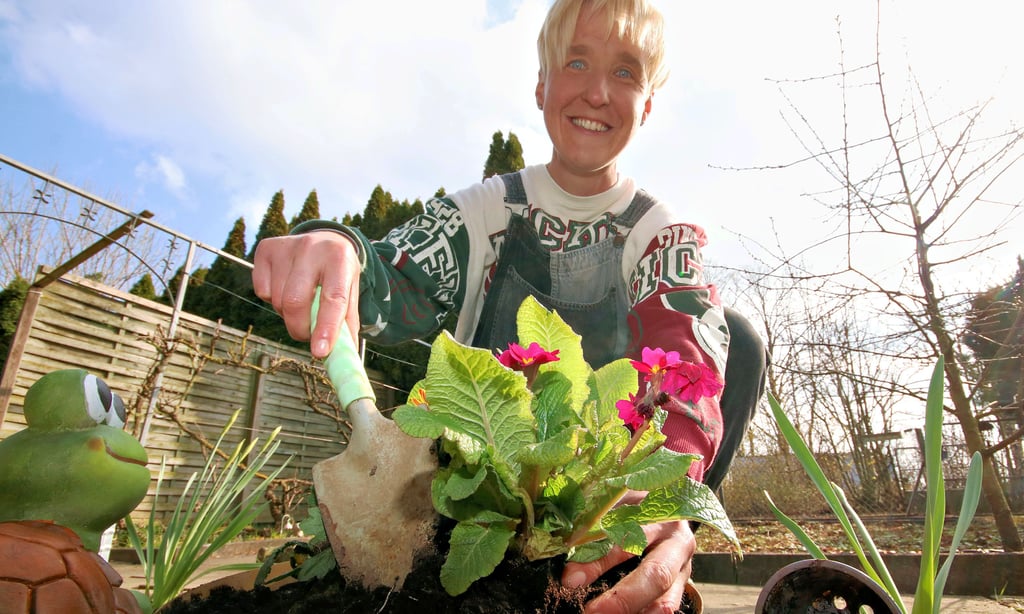Maria Mittelstrass pflanzt eine Primel in ihrem Garten in der Kleingartenanlage Neue Zeit bei Gottesgnaden.