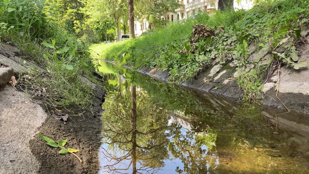 Die Schrote Magdeburg: Für den Fluss soll ein großes Überschwemmungsgebiet geben.