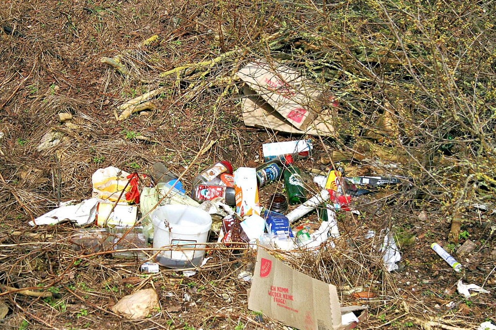 Am Roßberg wird häufig Müll abgeladen.