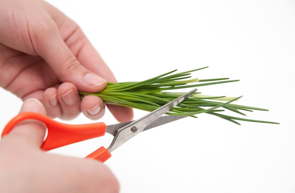 Schneiden ist bei Kräutern besser als Hacken.