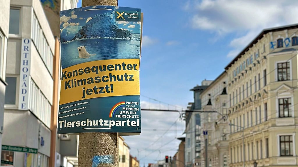 Die ersten Wahlplakate für die Stadtratswahl in Magdeburg am 9. Juni hängen bereits, wie hier an der Großen Diesdorfer Straße.