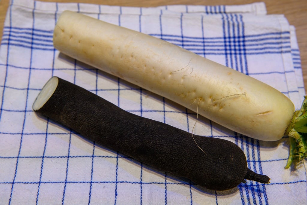Ein Schwarzer Rettich liegt neben seinem weißen Bruder. Doch nicht nur die Farbe unterscheidet beide. Der Winterrettich hat ein festeres weißes Fleisch.