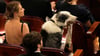Border Collie Messi sitzt im Publikum bei der Oscar-Verleihung.