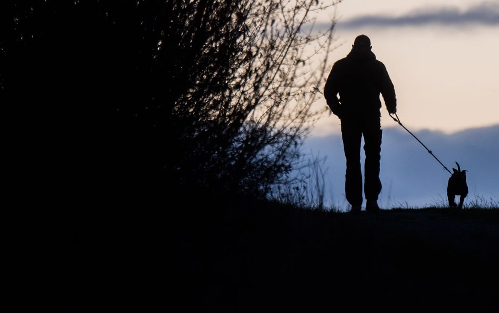 Für die Anschaffung und Pflege eines Hundes gibt es keinen staatlichen Zuschuss. (zu dpa: „Urteil: Jobcenter muss Kosten für Hund nicht tragen“)