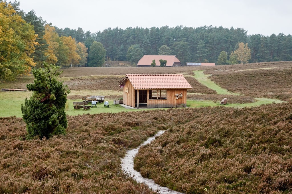 Blick auf eine Schutzhütte in in Kronsbergheide in der Lüneburger Heide.