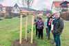 Im Beisein  ihrer Familie und von Vertretern der Stadt Gernrode und der Stadt Quedlinburg gießt Rosemarie Kellermann einen der Bäume, die durch ihre Spendeninitiative im Jacobsgarten ihrer Heimatstadt gepflanzt werden konnten.